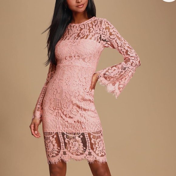 Lulus Dresses & Skirts - Lulu's Chic Pink Lace Dress